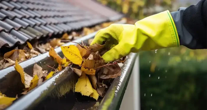 Limpieza de musgo en tejados en Logroño 26001 y mantenimiento de canalones